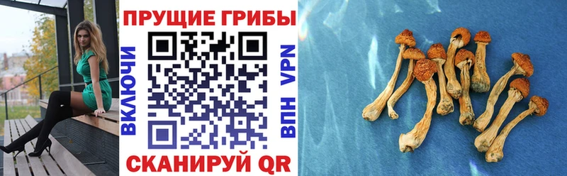 Галлюциногенные грибы ЛСД Сусуман